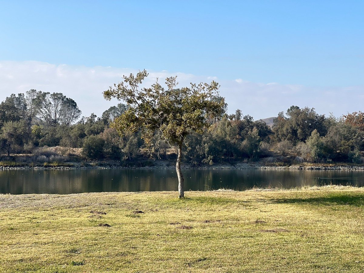 Avocado Lake Park (Fresno) - All You Need to Know BEFORE You Go