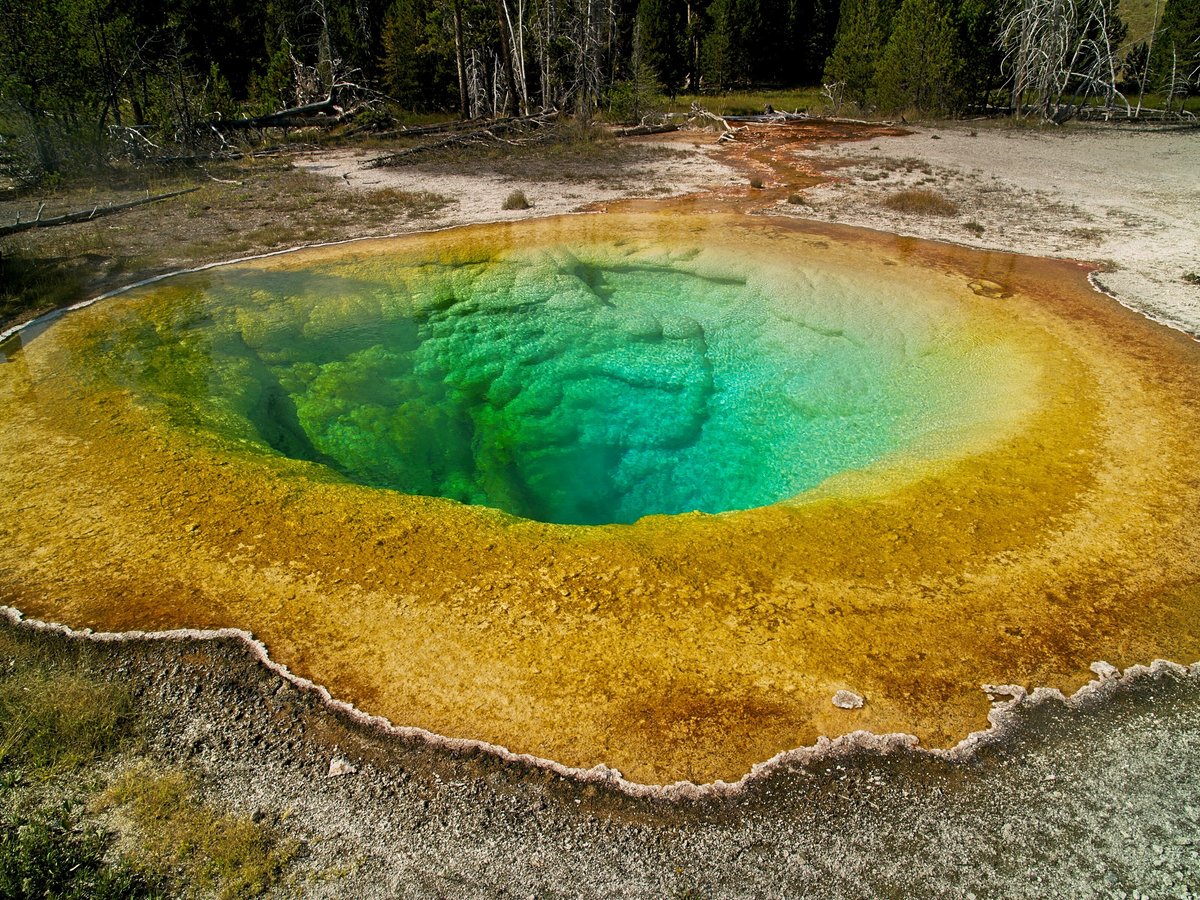 Yellowstone in a Day (Yellowstone National Park) - All You Need to Know ...