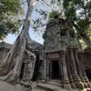 Sophea Chhay