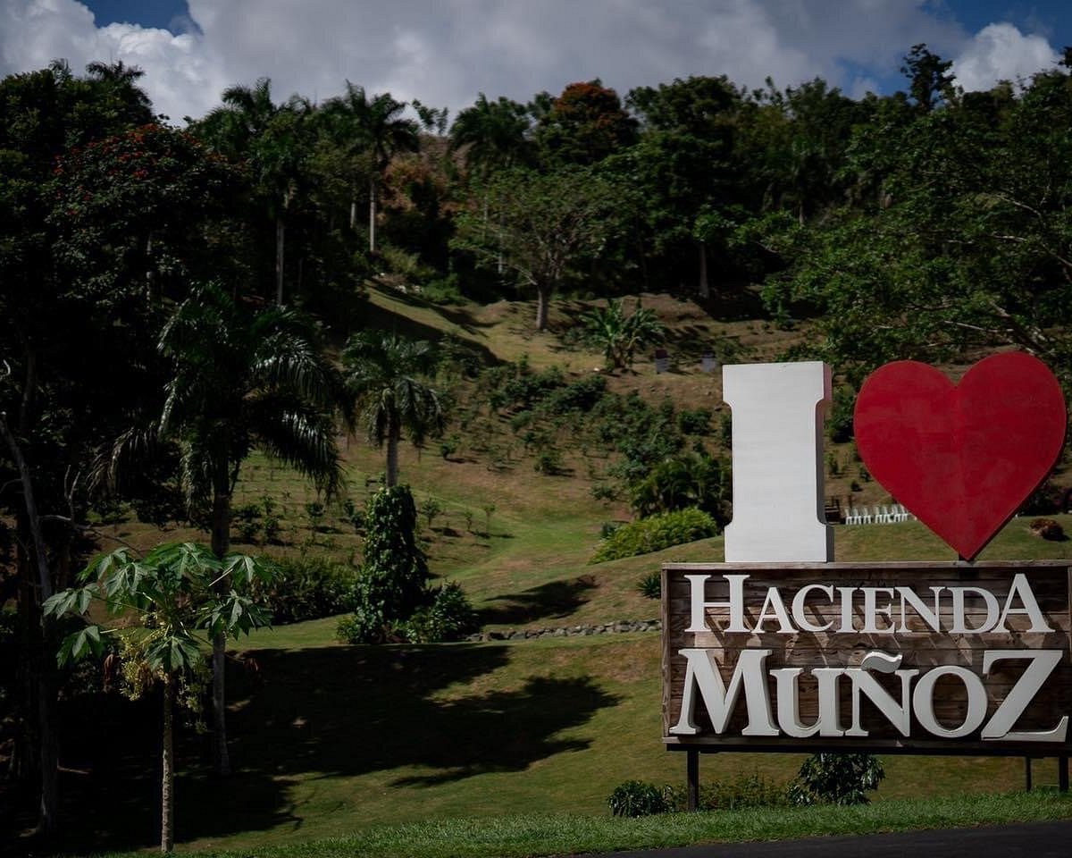 5 Must-Visit Coffee Haciendas in Puerto Rico