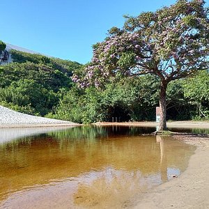 NE_DeltaParnaiba0047, Visit Brasil