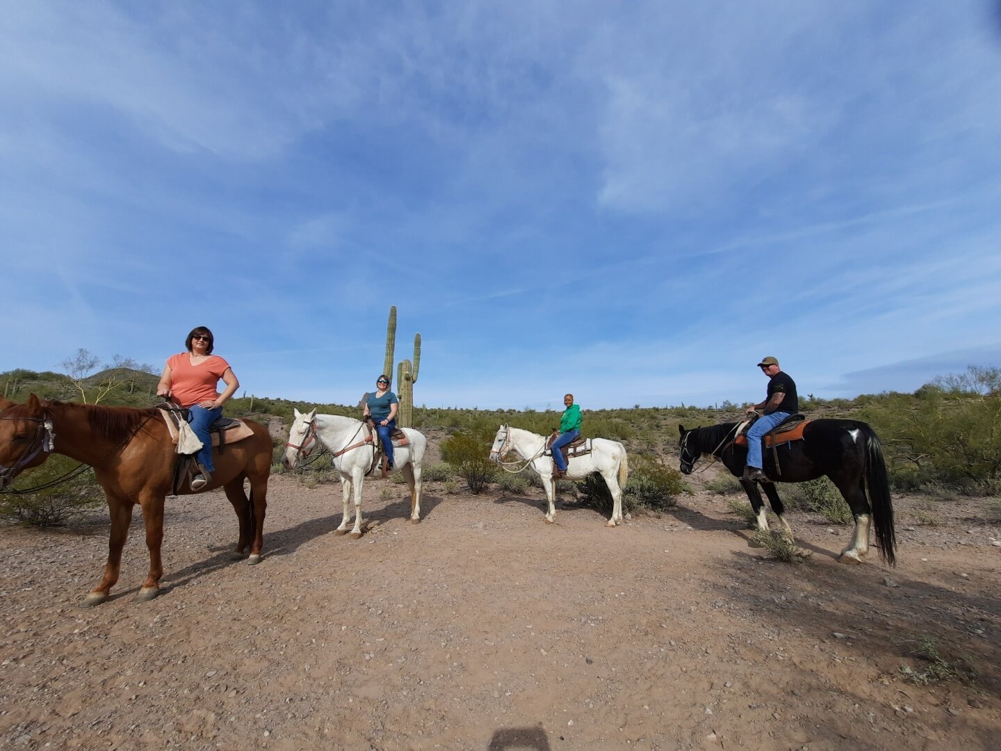 Betty's Trail Rides - All You Need to Know BEFORE You Go (2024)