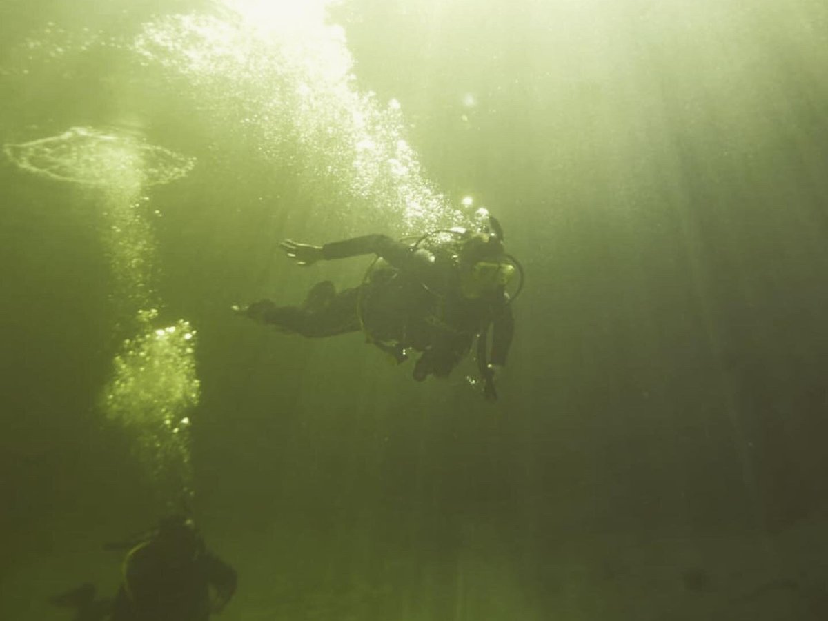 tulum diving center