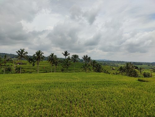 Bali review images