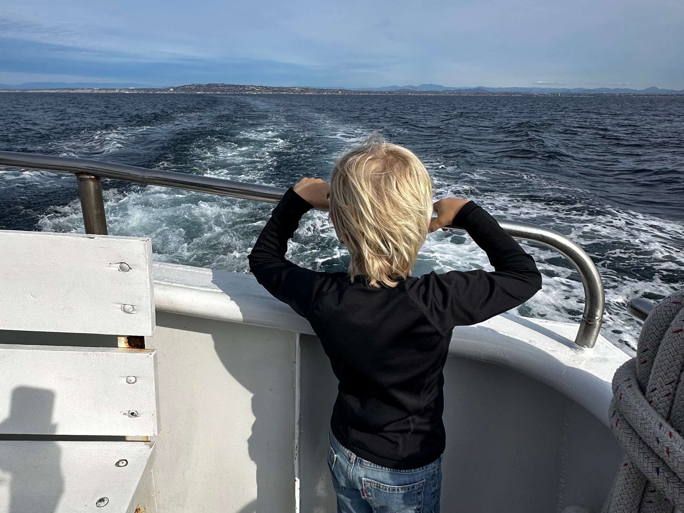 San Diego Whale Watch - All You Need to Know BEFORE You Go