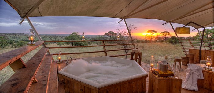 SERENGETI BUSHTOPS LUXURY CAMP - Updated 2023 Specialty Resort Reviews  (Serengeti National Park, Tanzania)