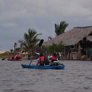 A MELHOR FARINHA DO MARANHÃO É DE BARREIRINHAS !!!