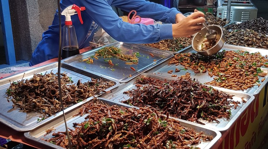 Stall in Loy Krathong