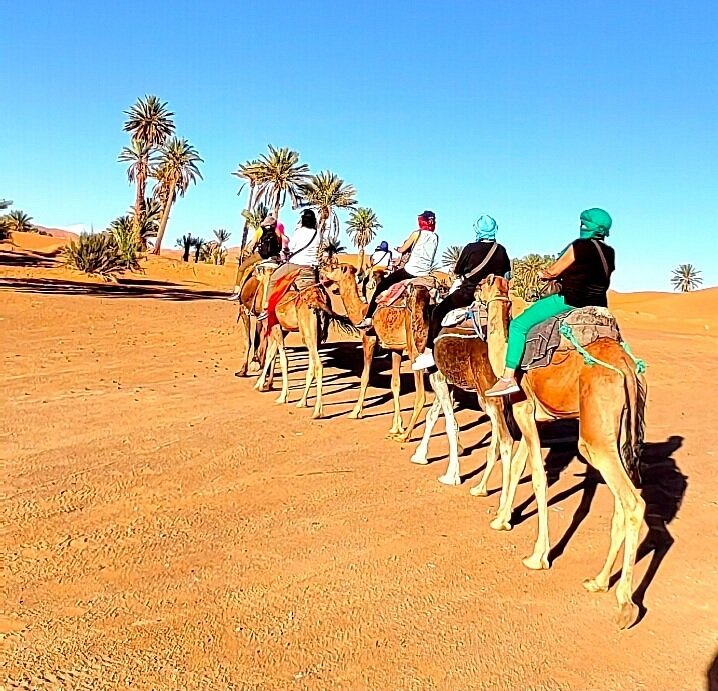 RUMOR: Speed The Ride coming back to The Sahara Las Vegas - Park Journey
