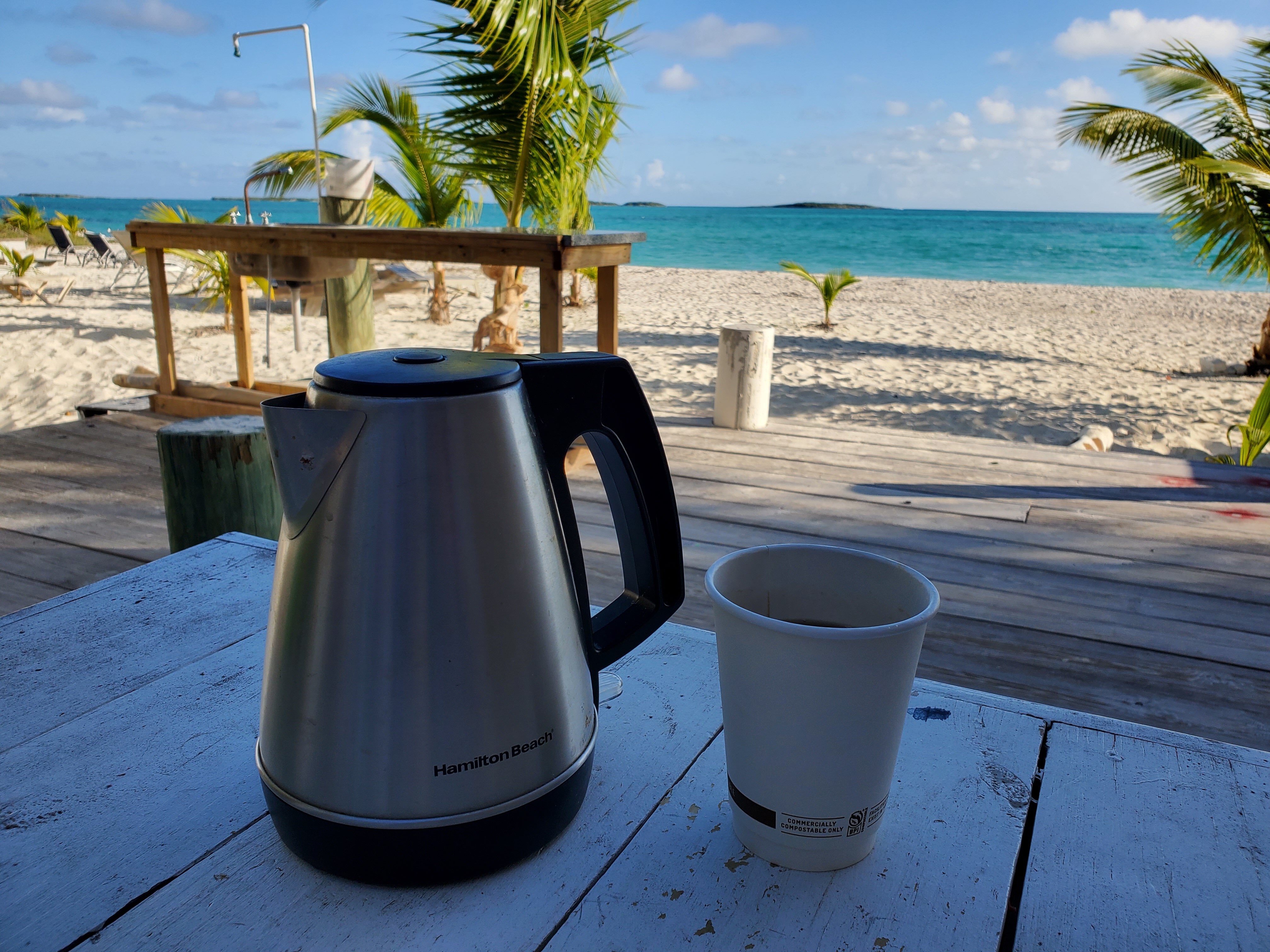 Hamilton beach electric kettle costco review new arrivals