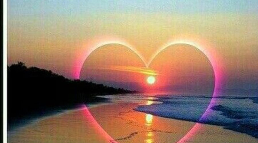 In love and light at our Palmita hotel hostel be welcome!