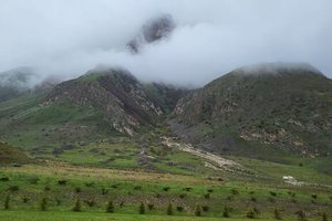 Oda ve Süit
