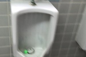 旅行者の写真