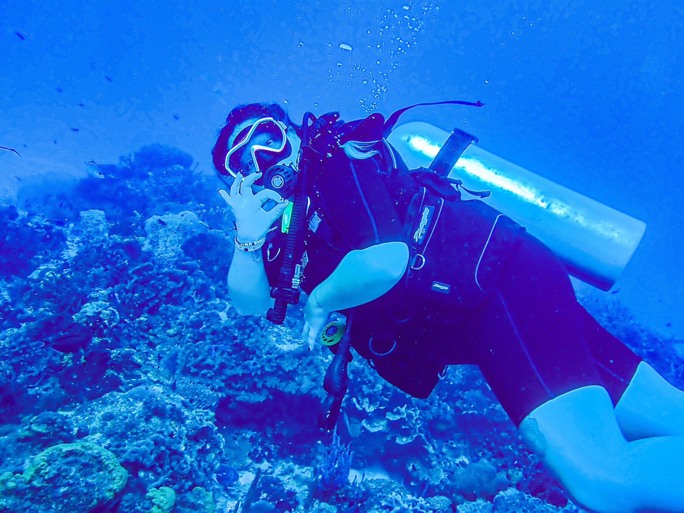 tank ha dive center playa del carmen