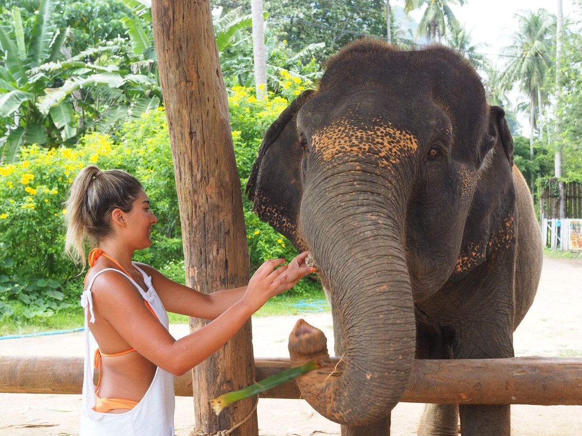 Aonang Elephant Sanctuary, Ао Нанг: лучшие советы перед посещением -  Tripadvisor