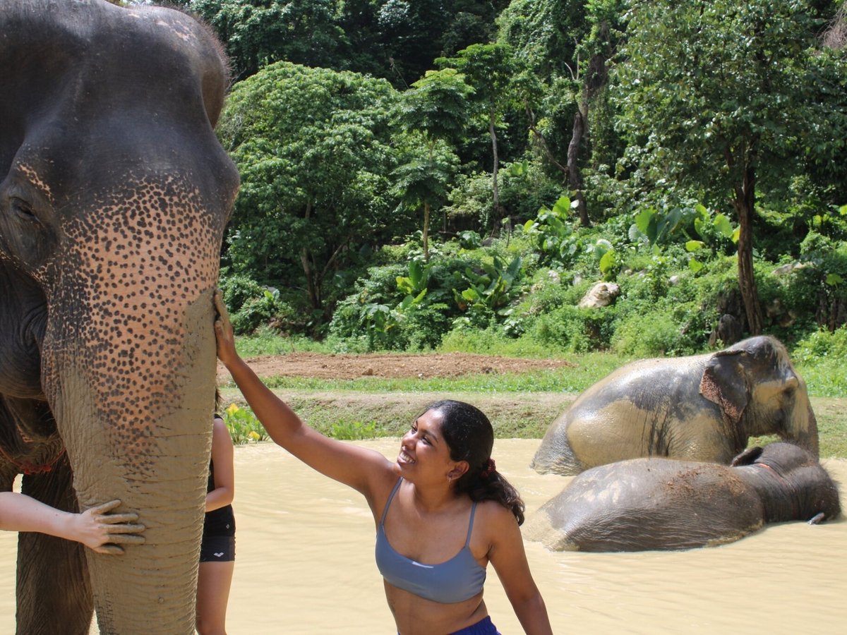 Aonang Elephant Sanctuary, Ао Нанг: лучшие советы перед посещением -  Tripadvisor