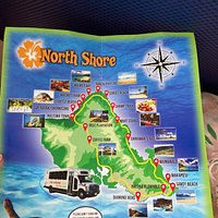 aloha sunshine tours hawaii