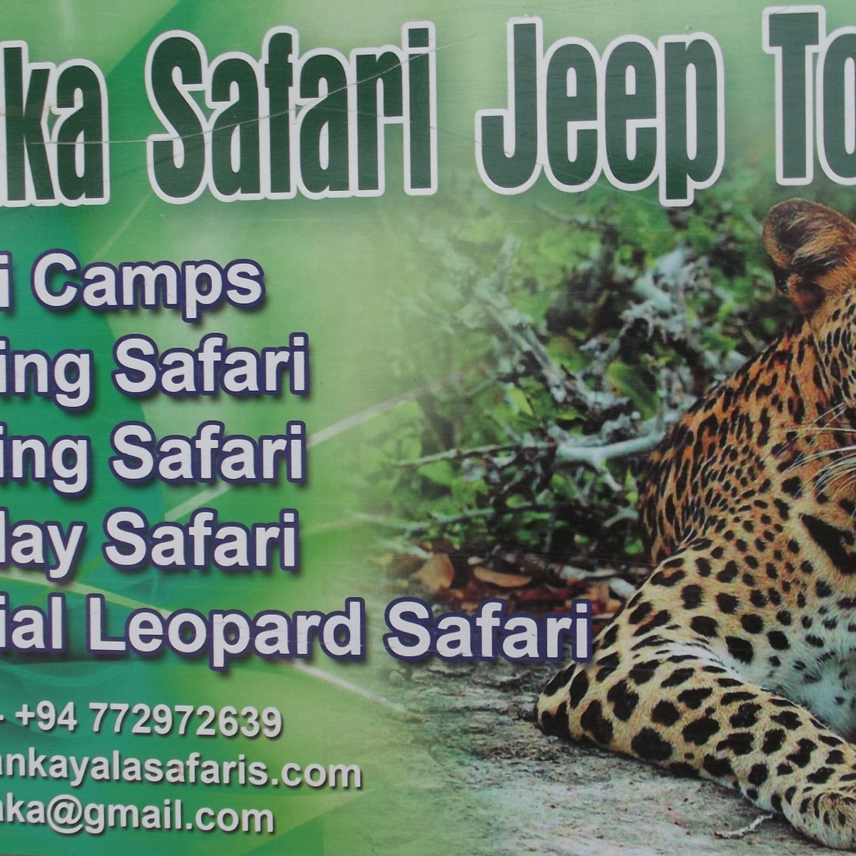 Yala Safaris - Private Tours, Тиссамахарама: лучшие советы перед посещением  - Tripadvisor