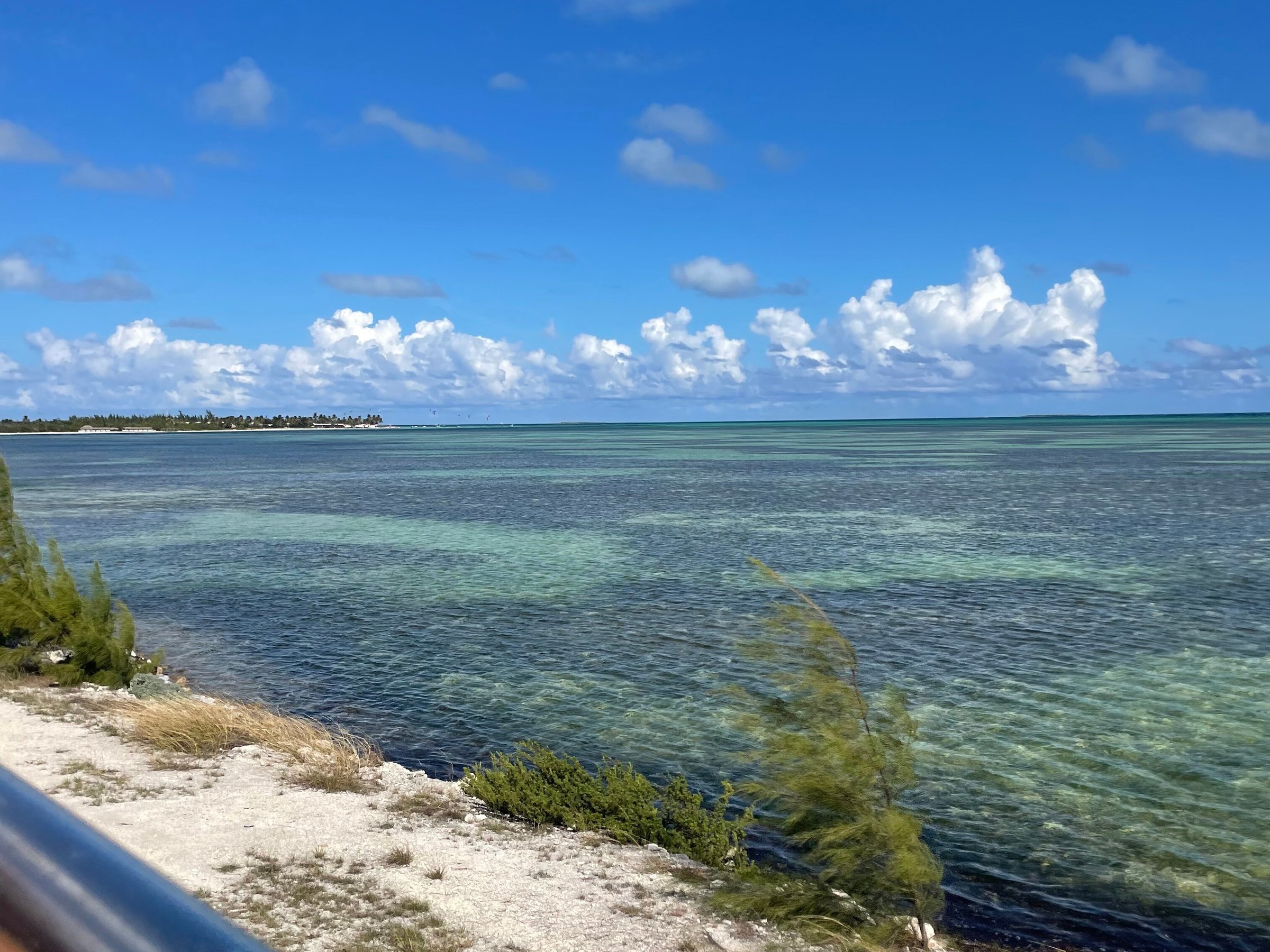 Jardines Del Rey Bus Tour (Cayo Coco) - All You Need to Know BEFORE You Go