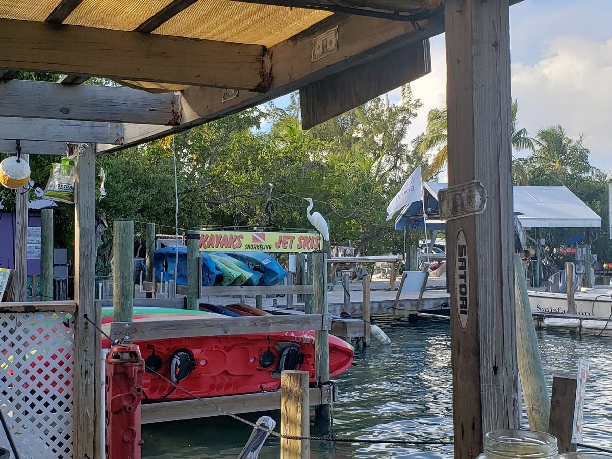 Robbie's of Islamorada - ATUALIZADO 2022 O que saber antes de ir ...