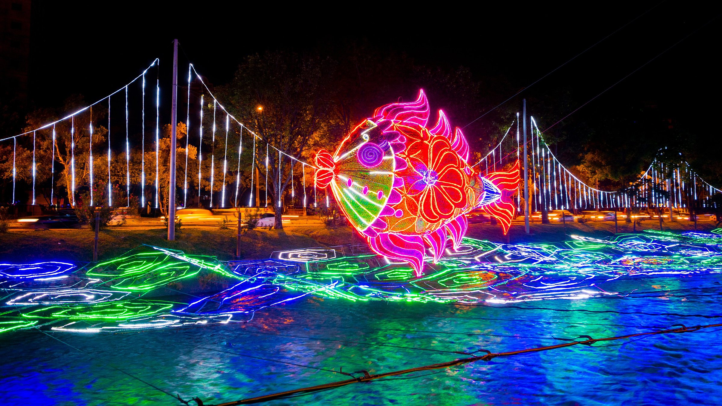 Where To See Christmas Lights 2024 Calendar 2024 May where-to-see-christmas-lights-2024-calendar-2024-may