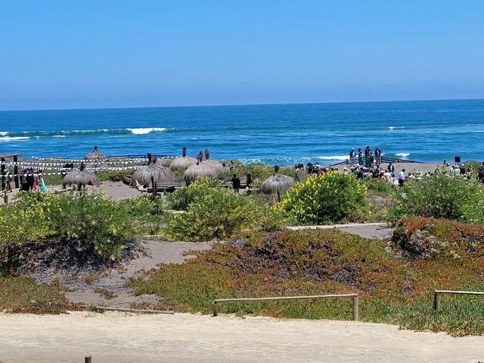 PLAYA LOBOS (Pichilemu, Chile): opiniones, comparación de precios