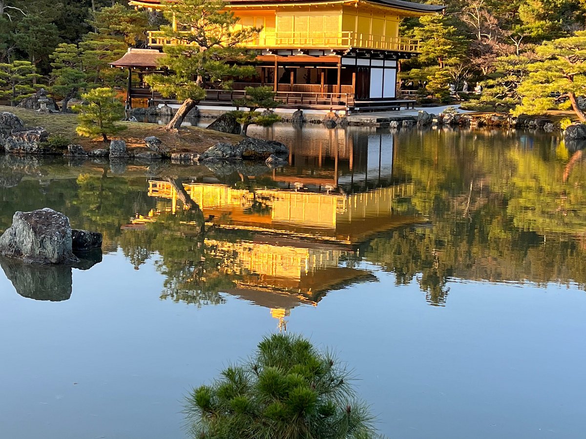 tours by locals kyoto