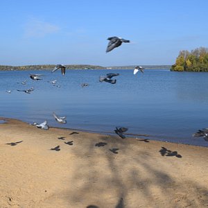 Лодочная станция Сенеж