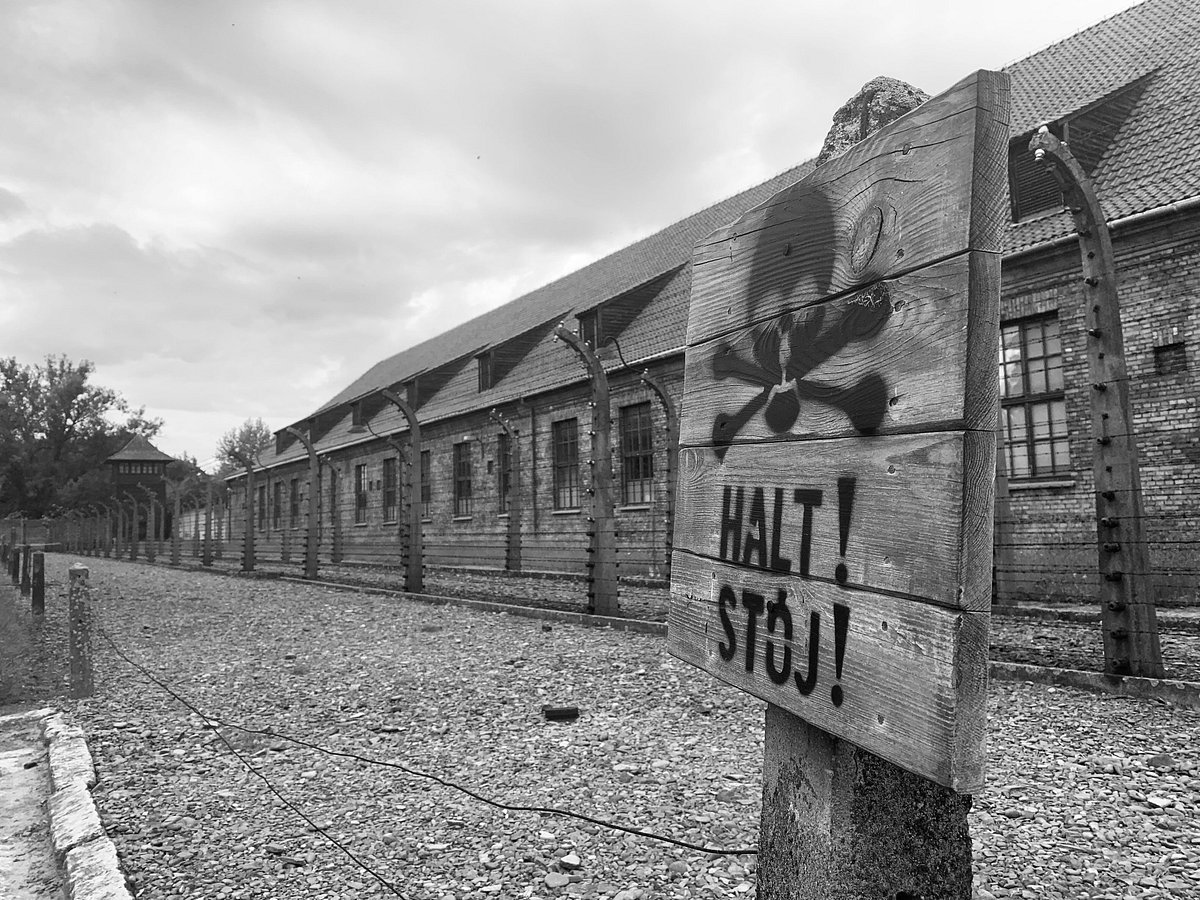 tour cracovia auschwitz