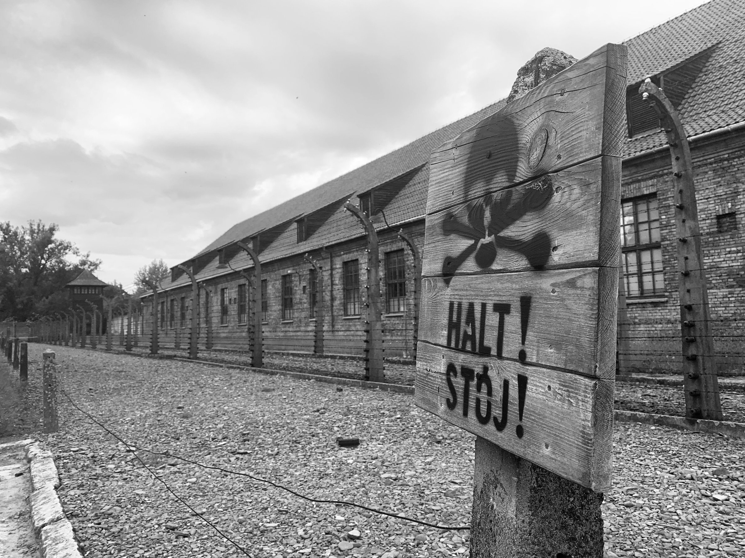 Auschwitz Tour From Krakow