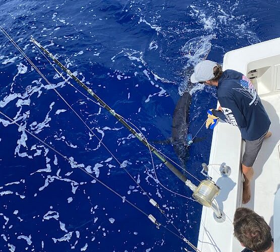 Blue Hawaii Sportfishing - All You Need to Know BEFORE You Go (2024)