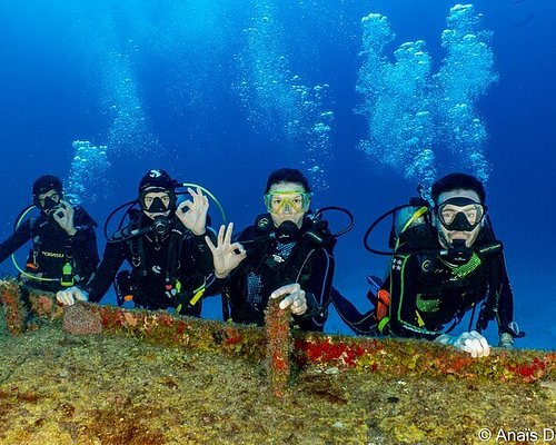 10 MEJORES Buceo y esnórquel en Cozumel (Actualizado 2023)