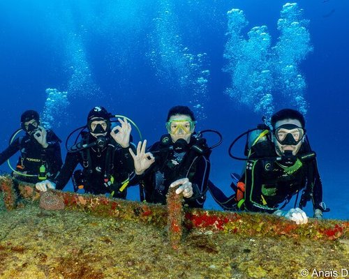 THE 10 BEST Cozumel Scuba Diving & Snorkeling (Updated 2023)