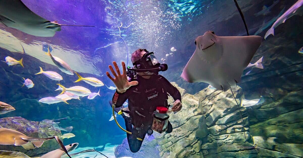 Ripley's Aquarium of Canada - All You Need to Know BEFORE You Go (2024)