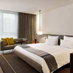 King Deluxe Guest Room