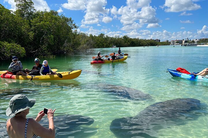 Is Barefoot Beach Open? Your Ultimate Guide for 2023