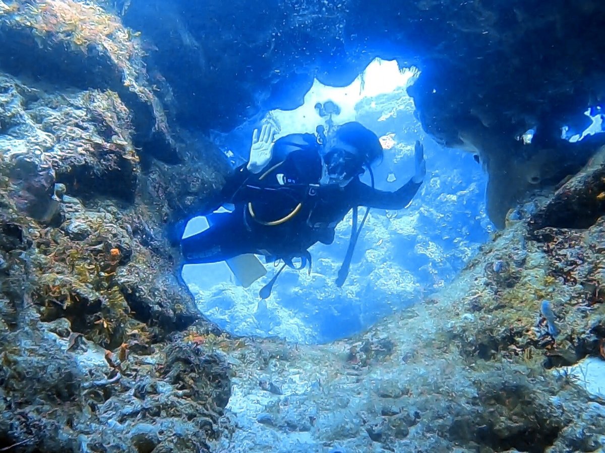 mayan dive center playa del carmen