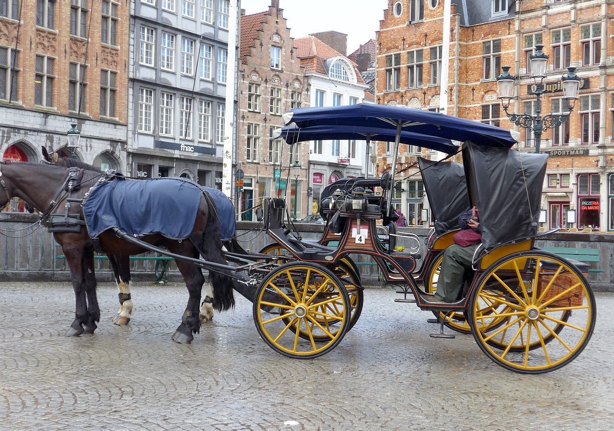 Bruges By Horse-drawn Carriage - All You Need to Know BEFORE You Go Bruges By Horse-drawn Carriage - All You Need to Know BEFORE You Go