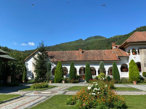 Southwest Romania Tiberiu_Baranyi review images