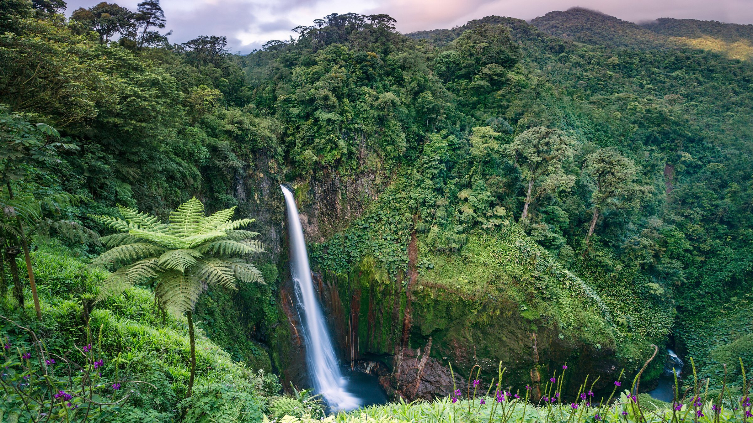 best rainforest tour costa rica