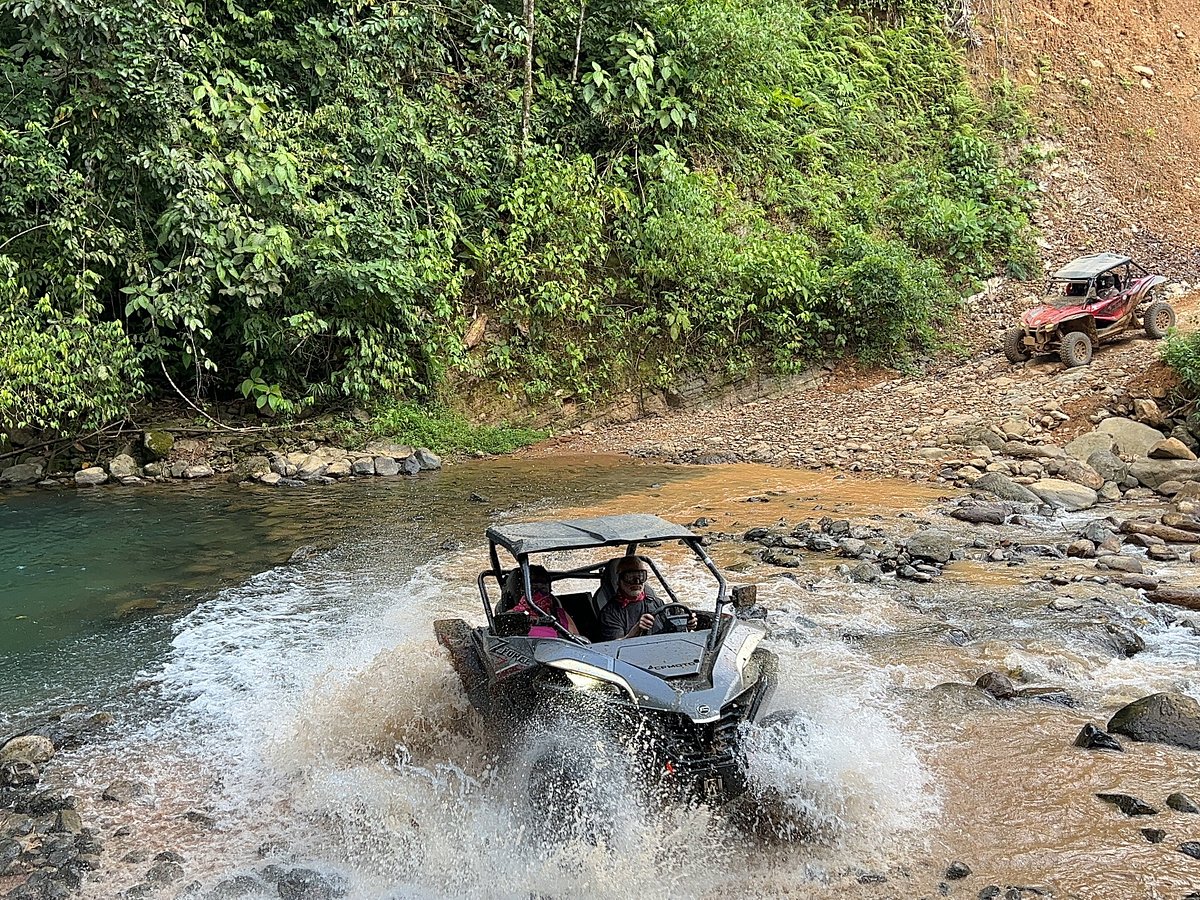 morete atv tours uvita photos