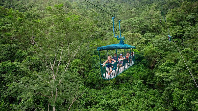 Group of people high above the rainforest canopy on the tranopy with Rainforest Adventures Jacó
