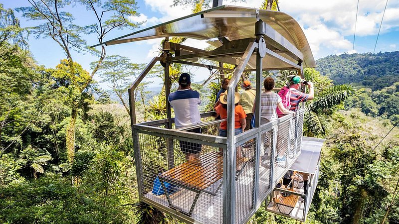Tourists enjoying the views of the rainforest canopy