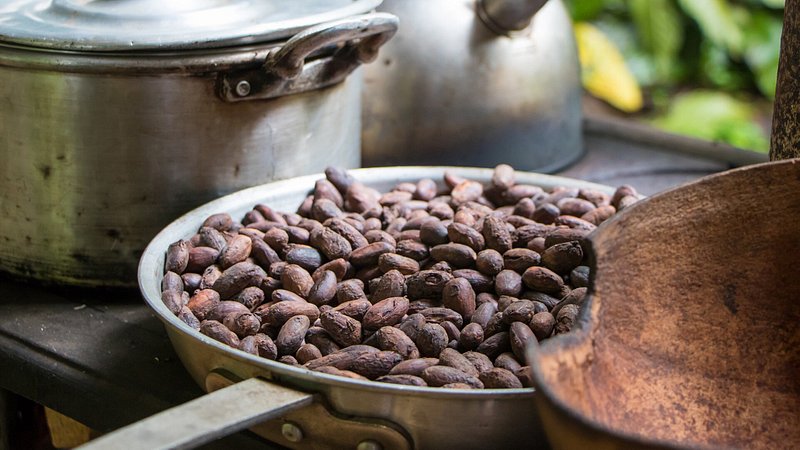 Making chocolate with cacao beans in Costa Rica 