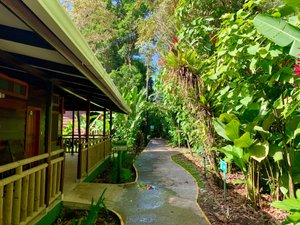 PACHIRA LODGE - Updated 2023 Reviews (Tortuguero, Costa Rica)