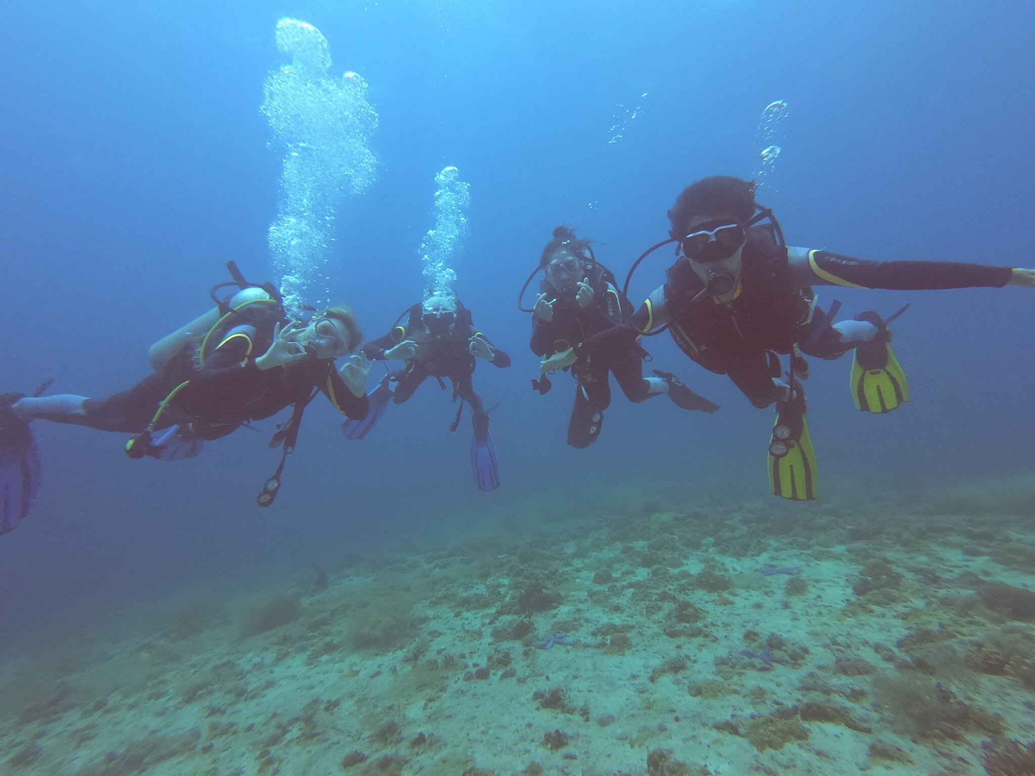 Thresher Shark Divers (Malapascua Island) - All You Need To Know BEFORE ...