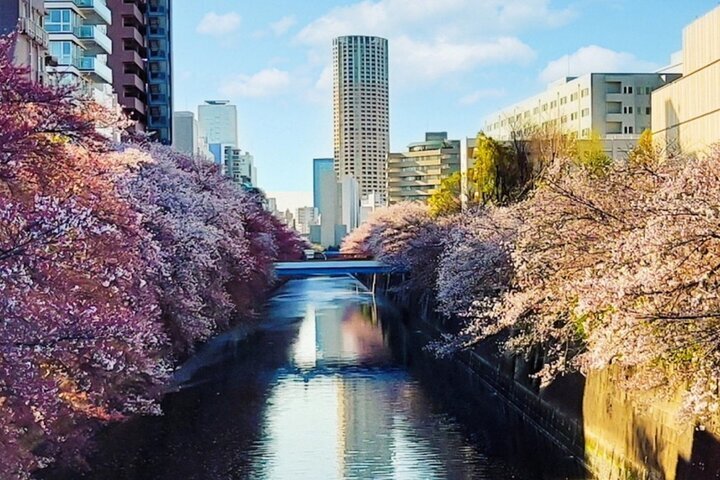 Katsushika Symphony Hills (2025) - All You Need to Know