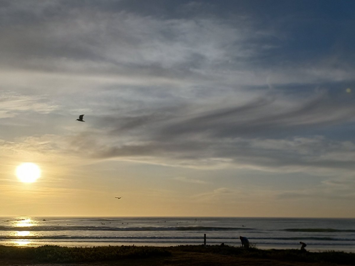 melkbosstrand-beach-south-africa-address-tripadvisor