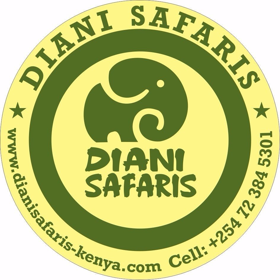 Diani Tours And Safaris Diani Beach 2022 Qué Saber Antes De Ir Lo