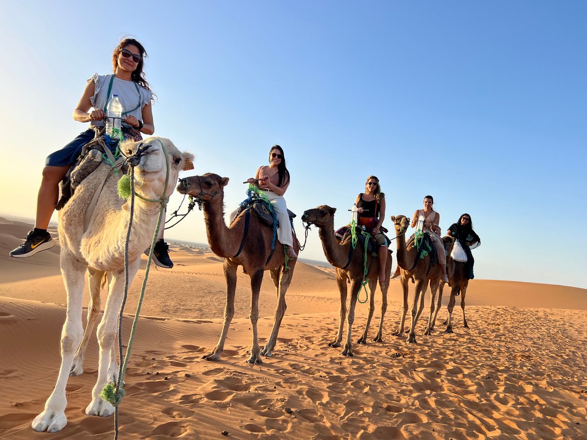 Marrakech Tours Trips - All You Need to Know BEFORE You Go